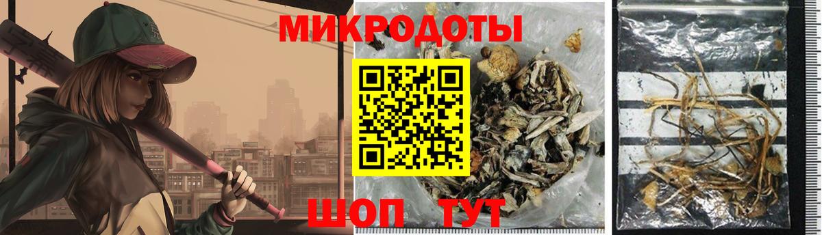 Серпухов  Псилоцибиновые грибы мицелий  Вход с VPN 